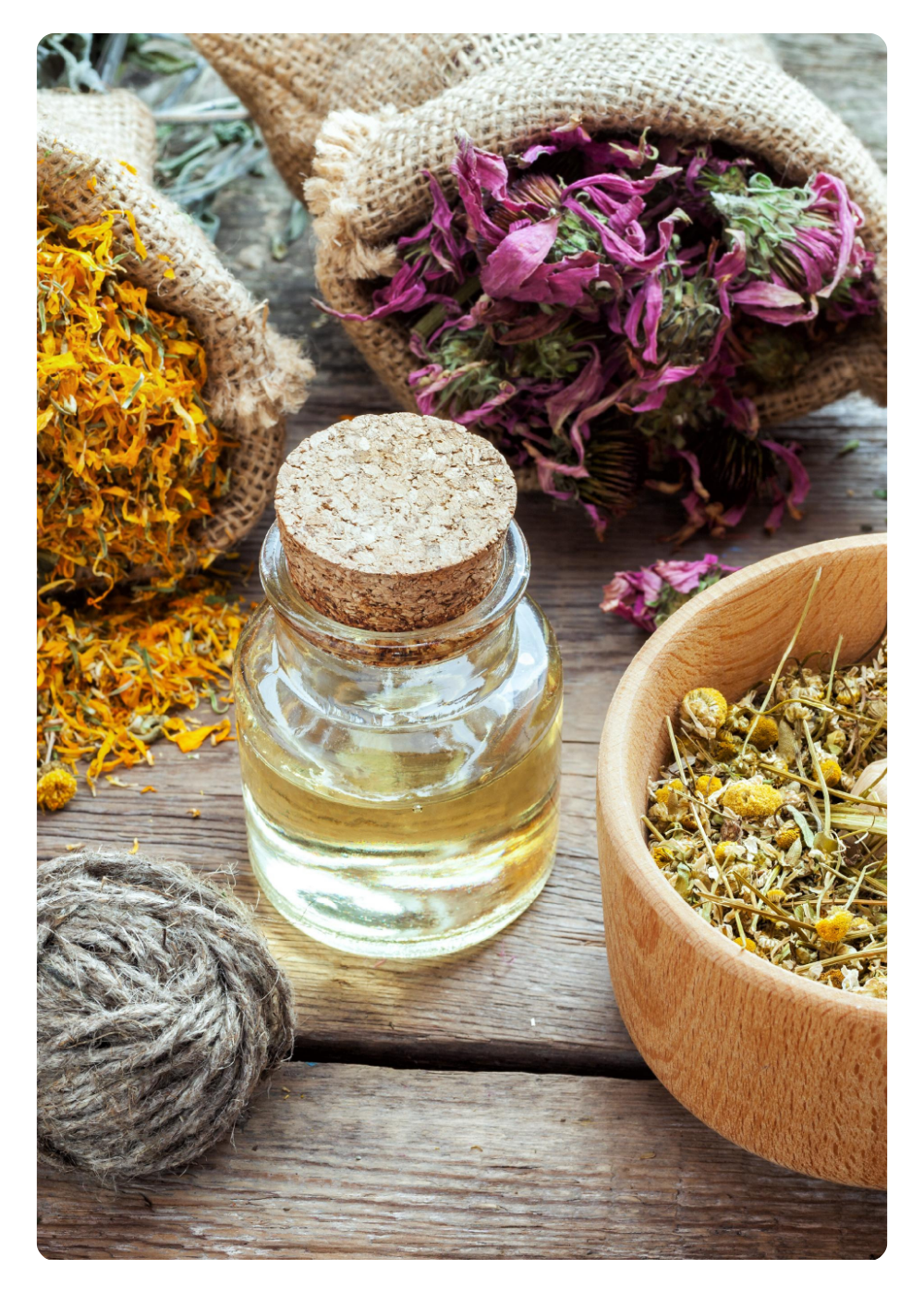 Untitled design - 2024-10-22T155741.774