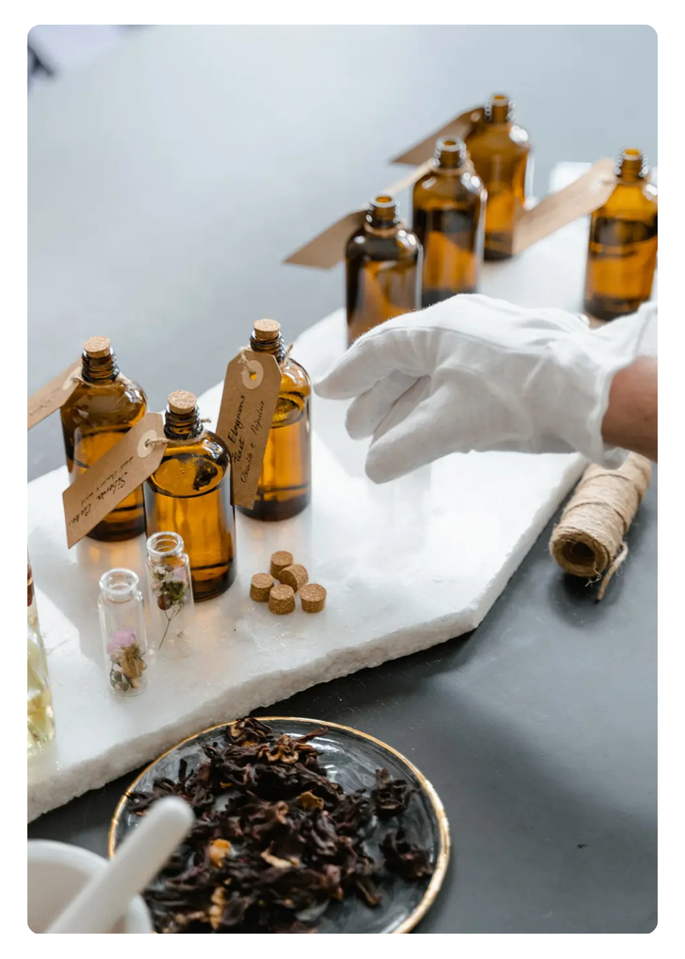 co to ziołolecznictwo